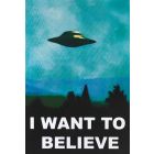 X-Files poster, I want to believe