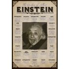 Einstein Wisdom poster