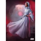 Star Wars, Princezna Leia, plechový plakát
