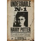 Harry Potter Undesirable No 1, plakát