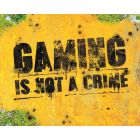 Gaming Is Not A Crime, plakát