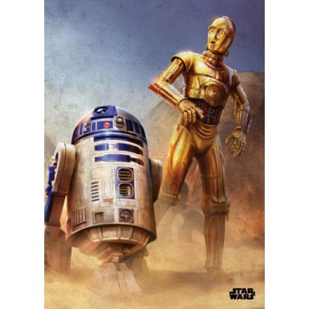 Star Wars, Droids, plechový plakát